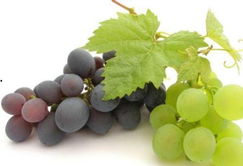 国产葡萄够吃吗视频网站